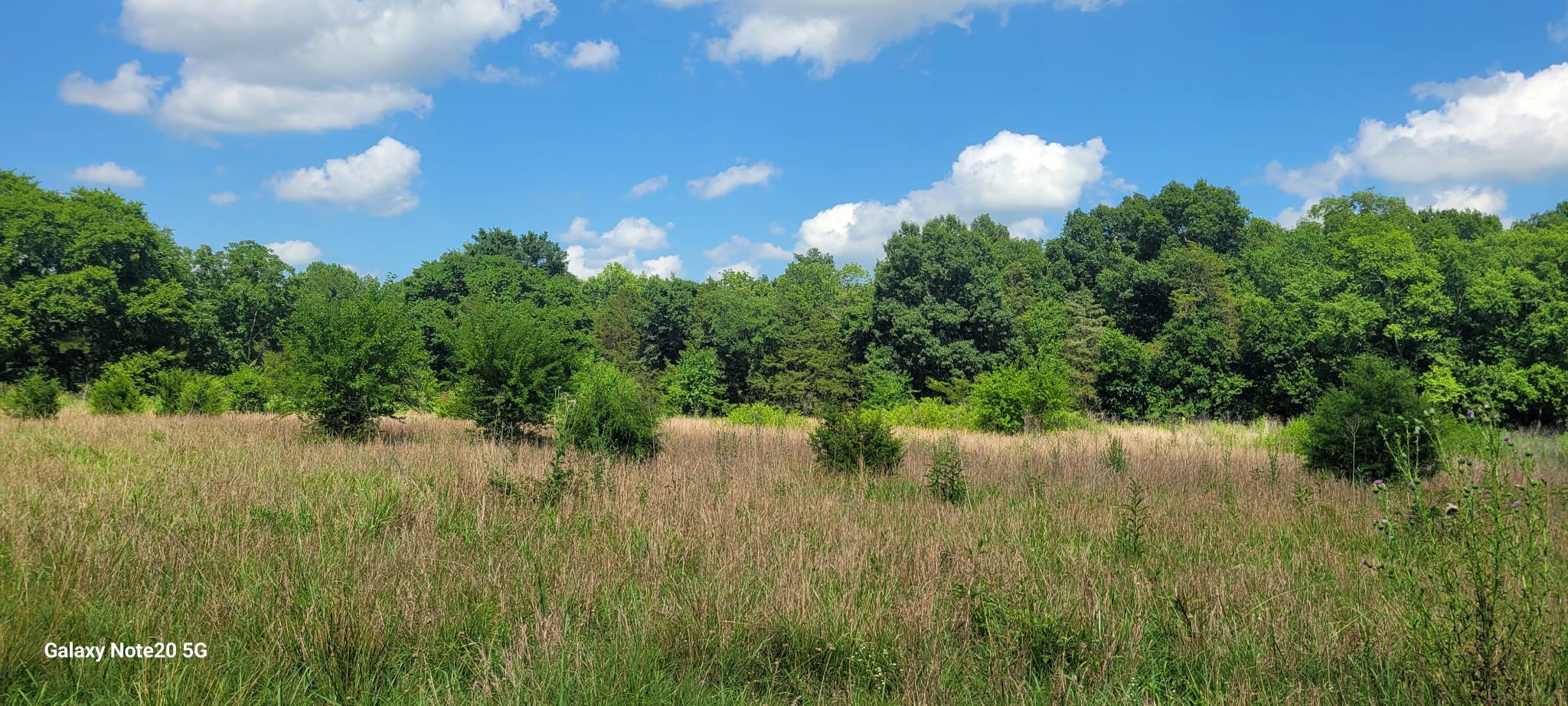 2 Clem Creek Road Chapel Hill, TN 37034 - Photo 5 of 9