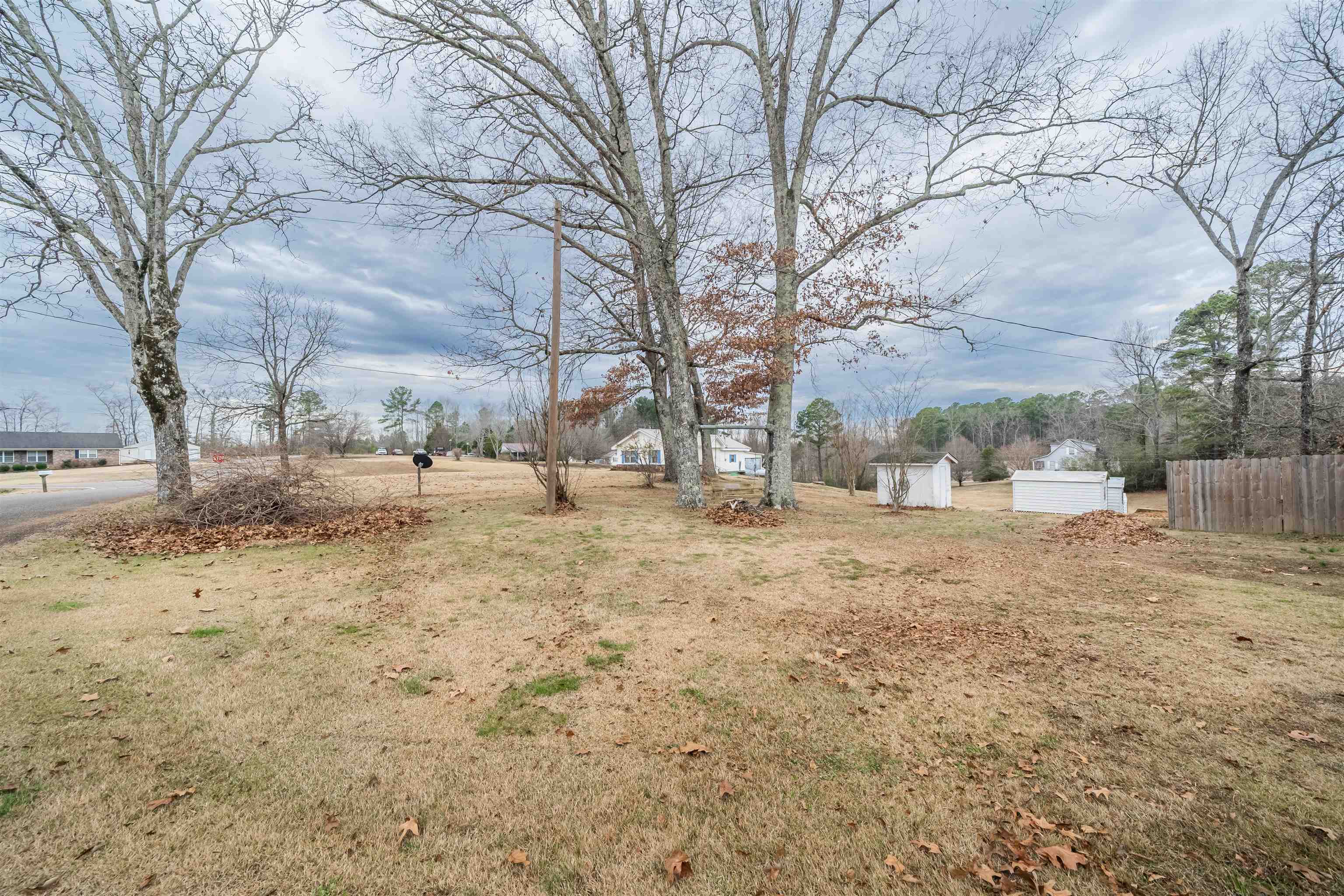 715 Burns Road Ramer, TN 38367 - Photo 5 of 20 View of yard featuring an outbuilding