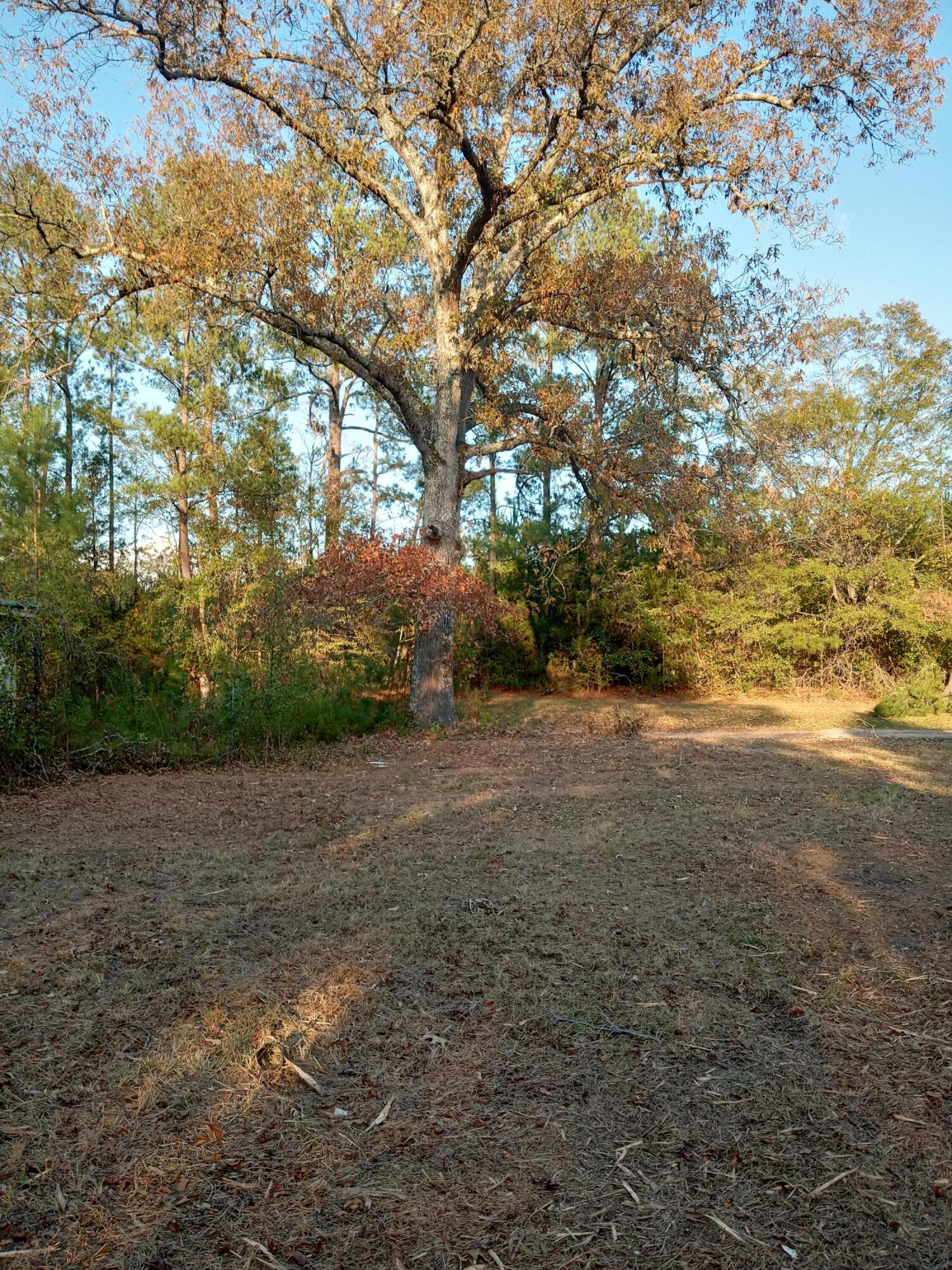 2722 Highway 23 Modoc, SC 29838 - Photo 7 of 57