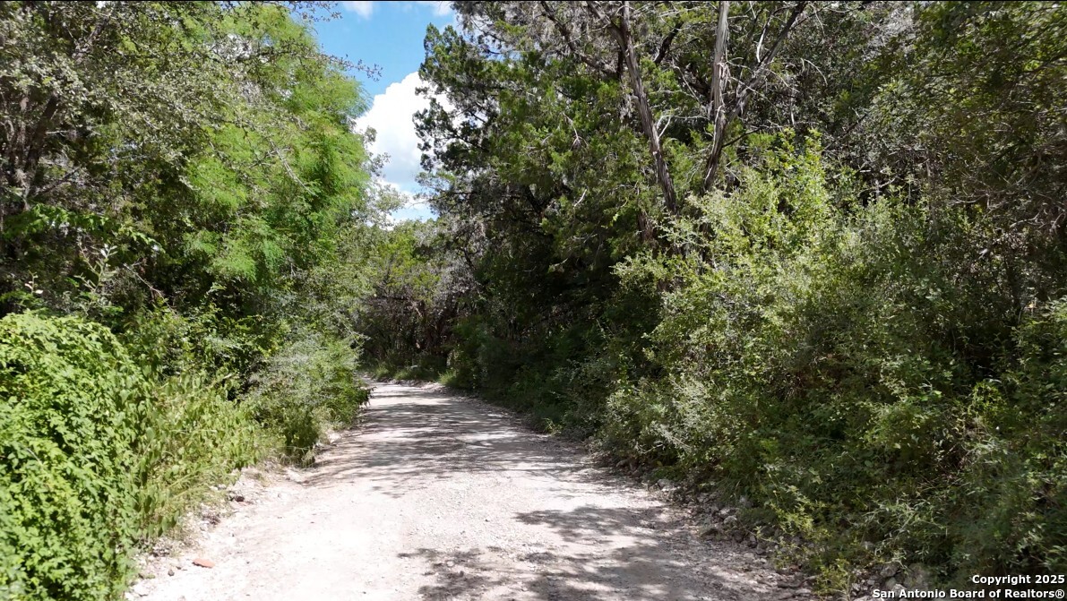 512 County Road 348 Concan, TX 78838 - Photo 32 of 39 a view of a pathway both side of yard
