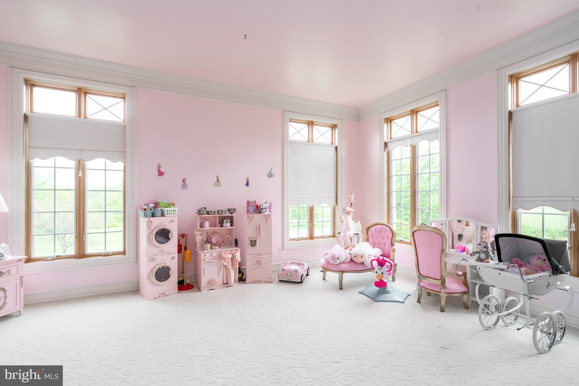 6779 Keller Lime Plant Road Frederick, MD 21703 - Photo 32 of 74 a bedroom with furniture and a large window