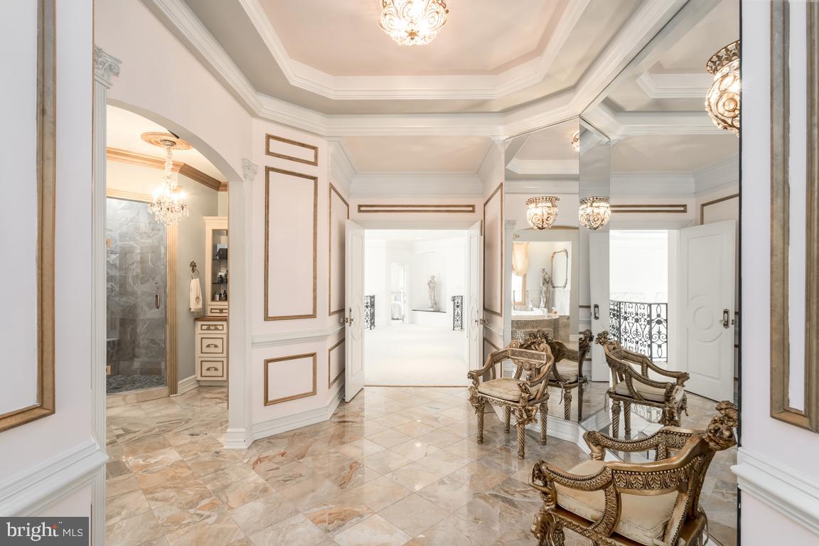 6779 Keller Lime Plant Road Frederick, MD 21703 - Photo 43 of 74 Tray Ceiling and Marble Floors