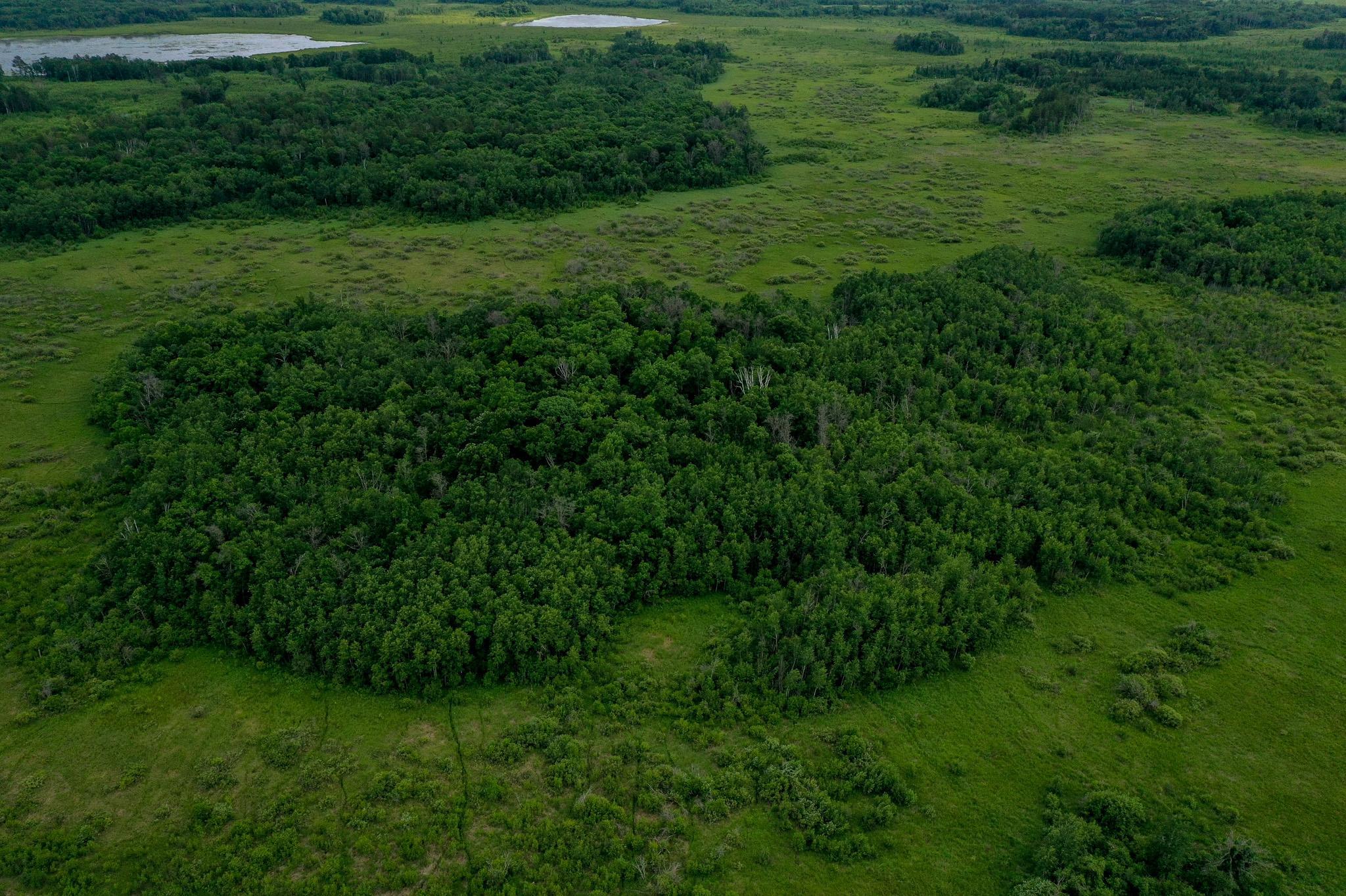 25820 County Road 26 Sebeka, MN 56477 - Photo 13 of 103