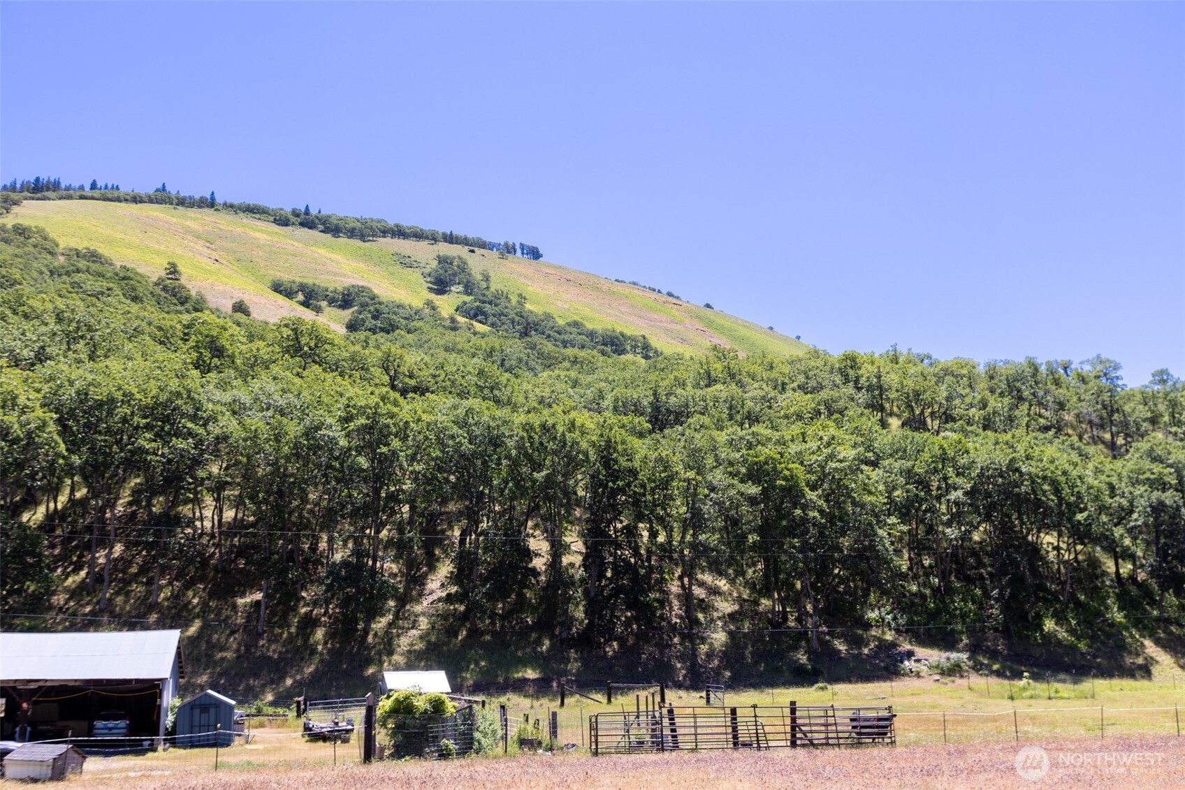 992 Highway 142 Lyle, WA 98635 - Photo 34 of 40 a view of a field with trees in the background