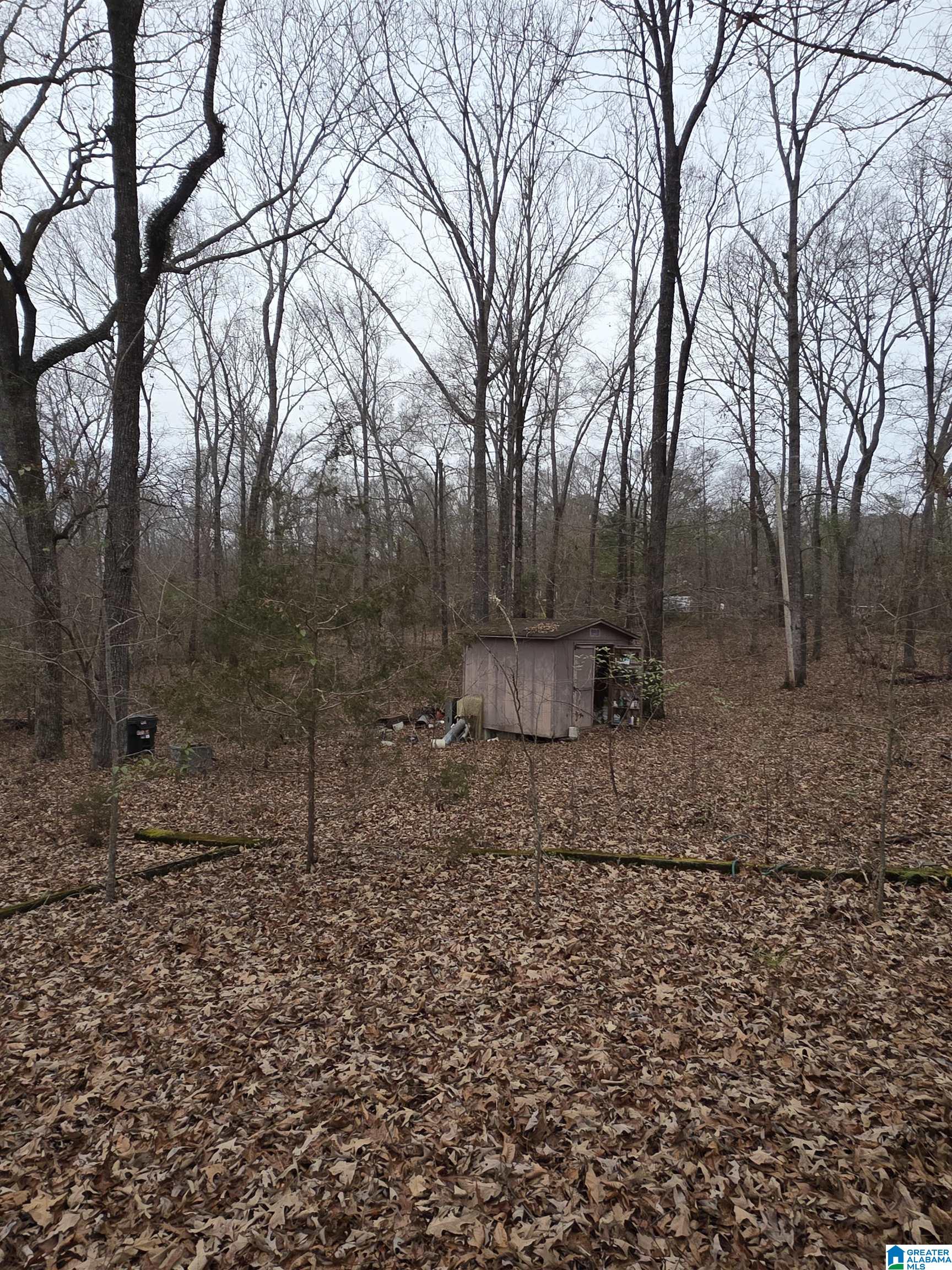 322 Tucker Road Talladega, AL 35160 - Photo 10 of 21