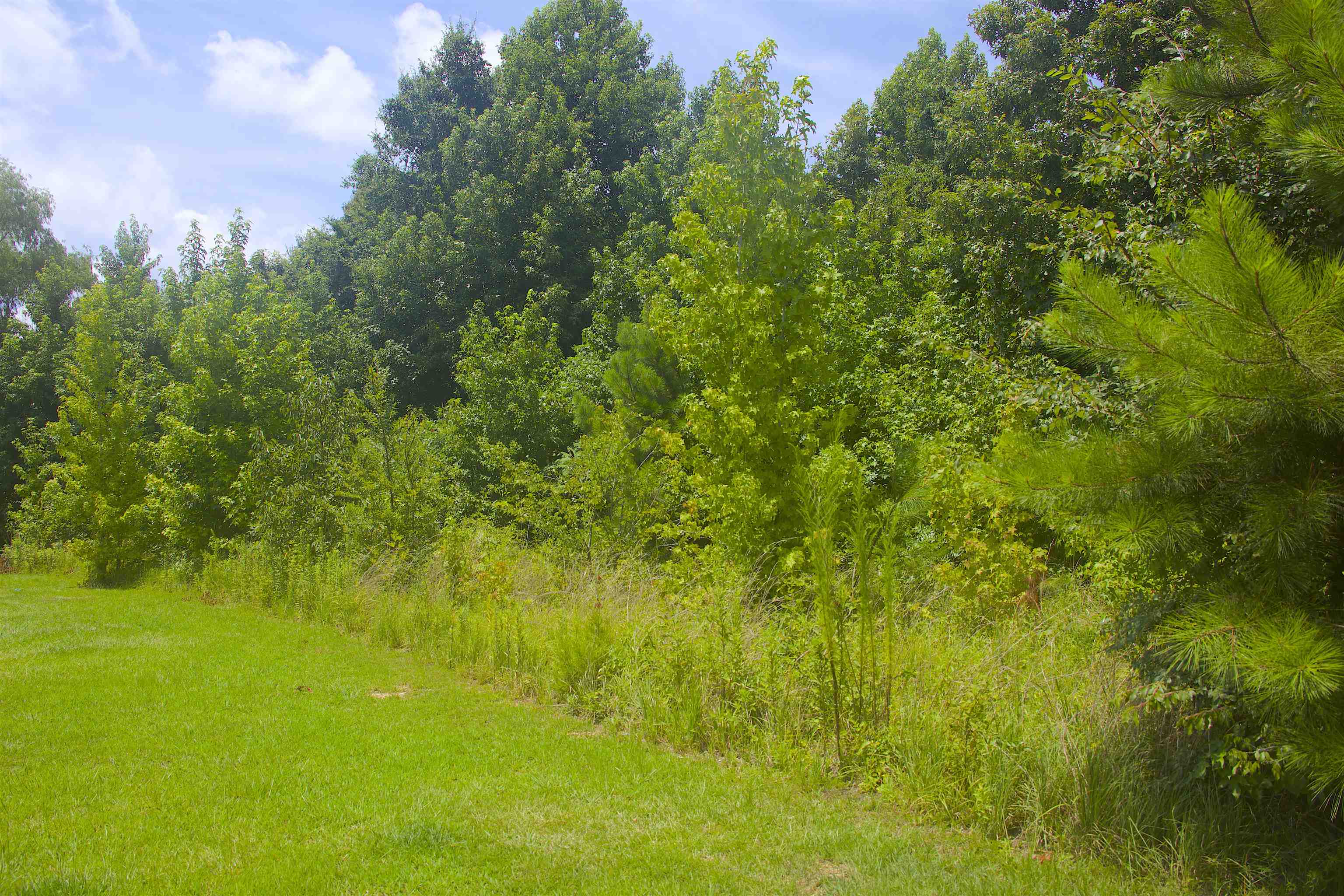 1120 Plum Point Road Pope, MS 38658 - Photo 2 of 11 Gallery Image 2