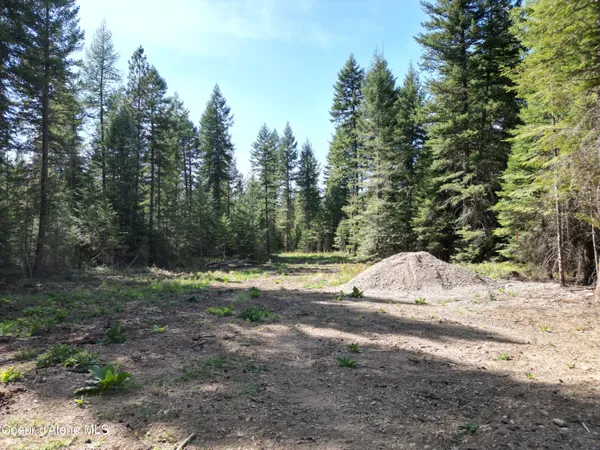 $1,880,000 | Lot 3 North Werre Road, Rathdrum, ID 83858