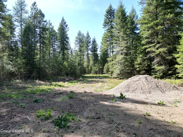 $1,880,000 | Lot 3 North Werre Road, Rathdrum, ID 83858