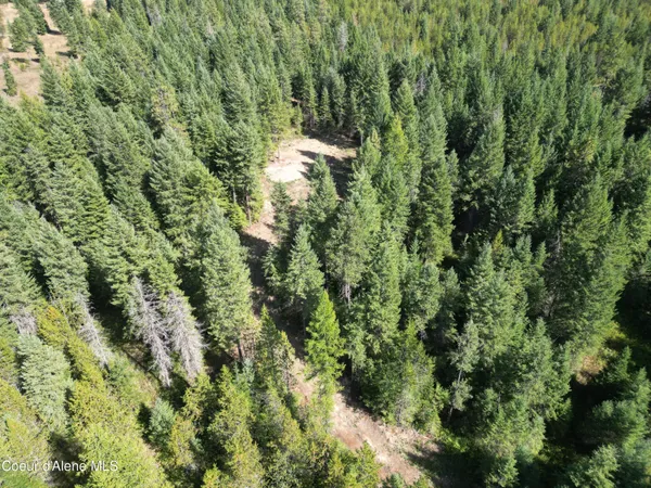 $1,880,000 | Lot 3 North Werre Road, Rathdrum, ID 83858