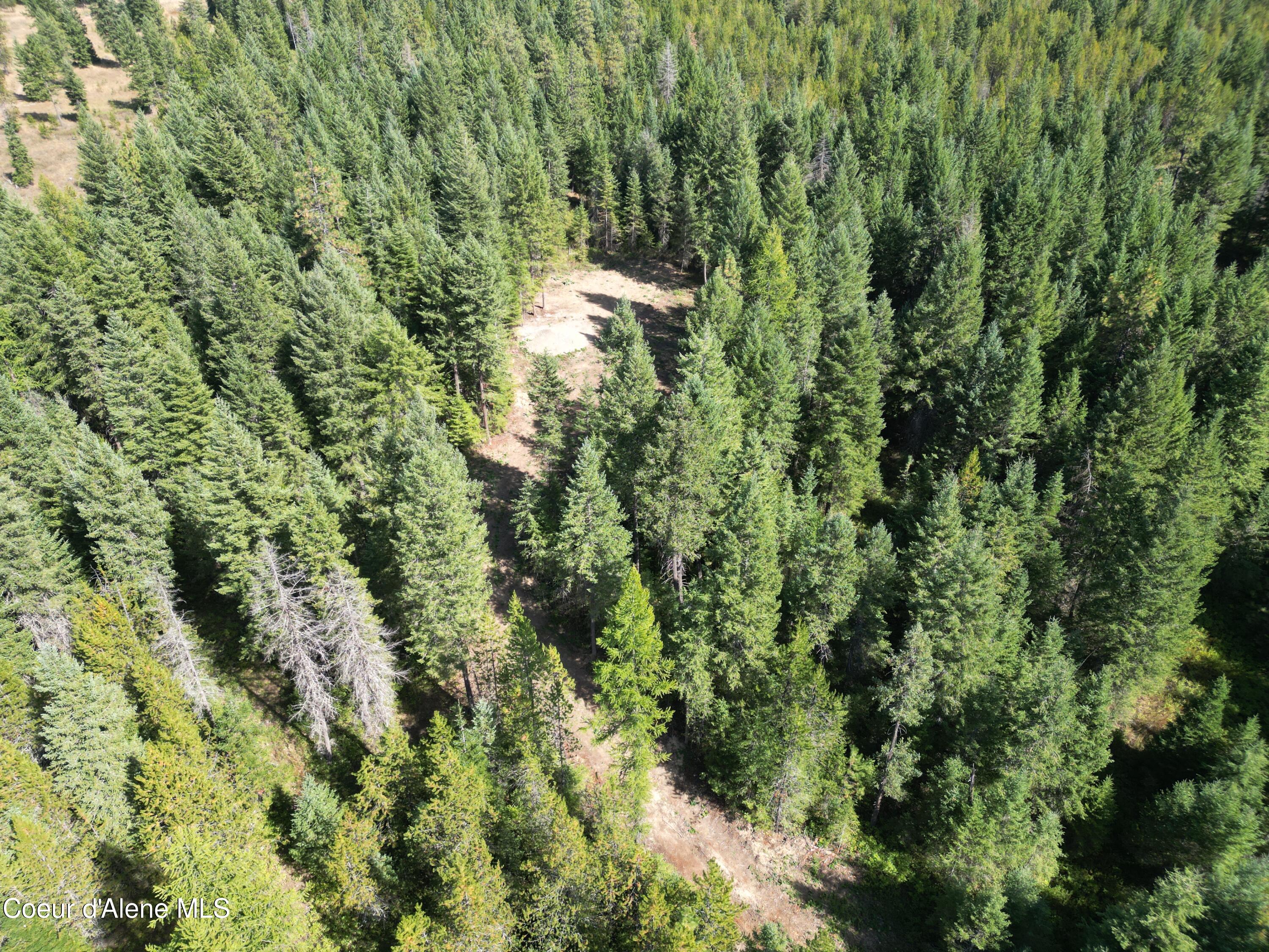 Lot 3 North Werre Road Rathdrum, ID 83858 - Photo 18 of 21 werre rd aerial