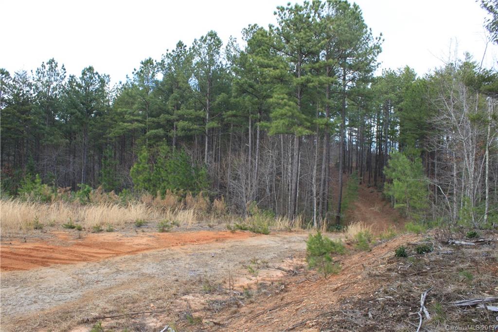20 Ridgeline Road Nebo, NC 28761 - Photo 11 of 21 Gallery Image 11