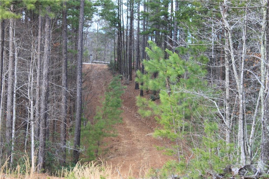 20 Ridgeline Road Nebo, NC 28761 - Photo 12 of 21 Gallery Image 12