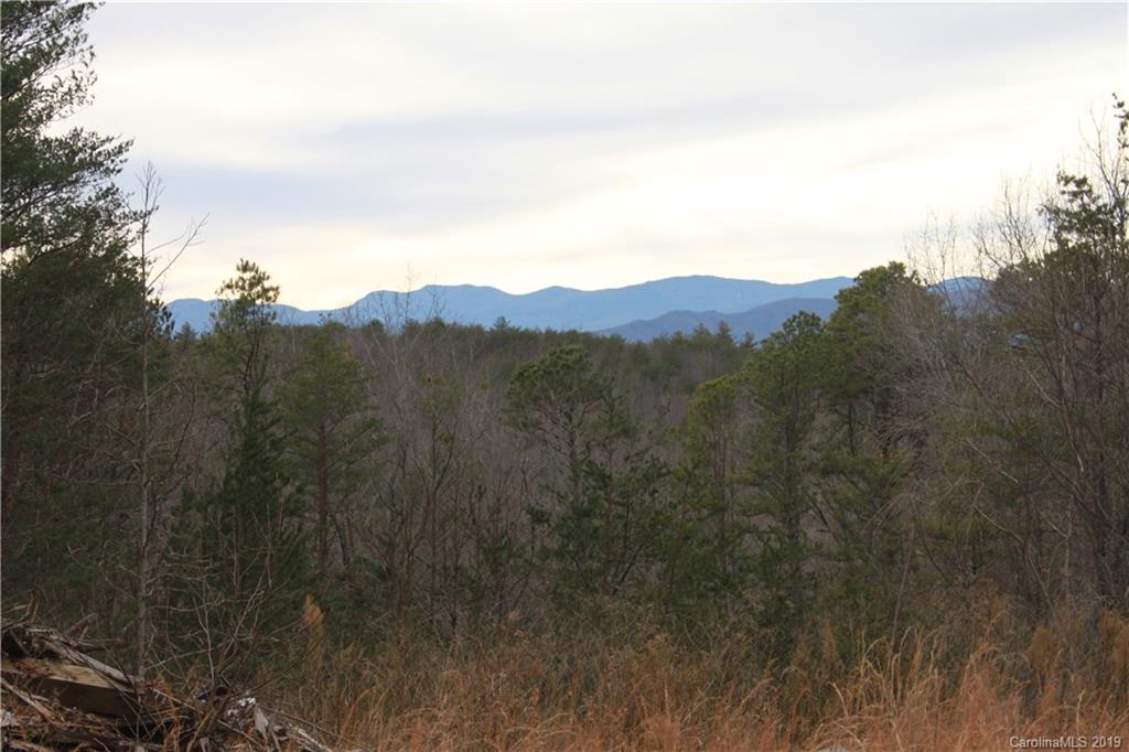 20 Ridgeline Road Nebo, NC 28761 - Photo 18 of 21 Gallery Image 18