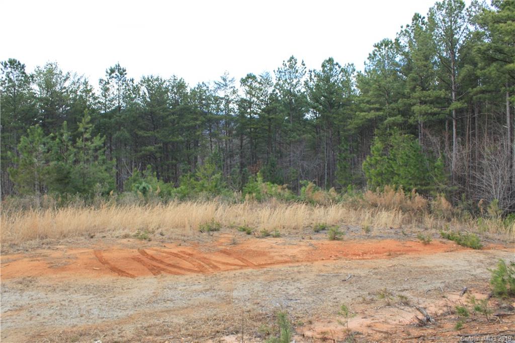 20 Ridgeline Road Nebo, NC 28761 - Photo 8 of 21 Gallery Image 8