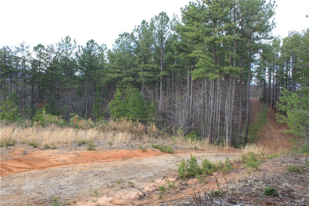 20 Ridgeline Road Nebo, NC 28761 - Photo 9 of 21 Gallery Image 9