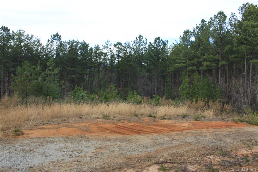 20 Ridgeline Road Nebo, NC 28761 - Photo 10 of 21 Gallery Image 10