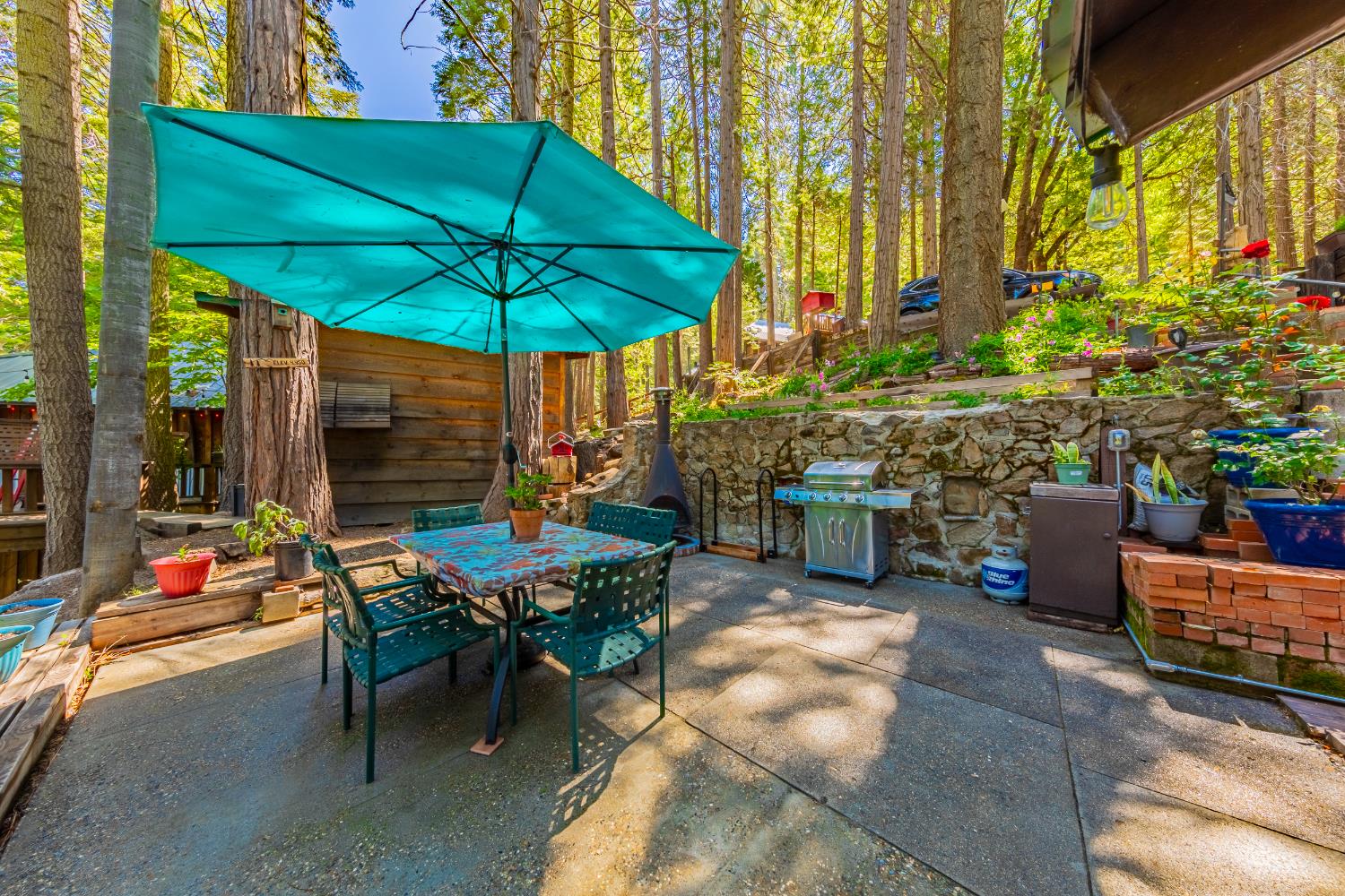 49988 Locust Road Oakhurst, CA 93644 - Photo 9 of 37