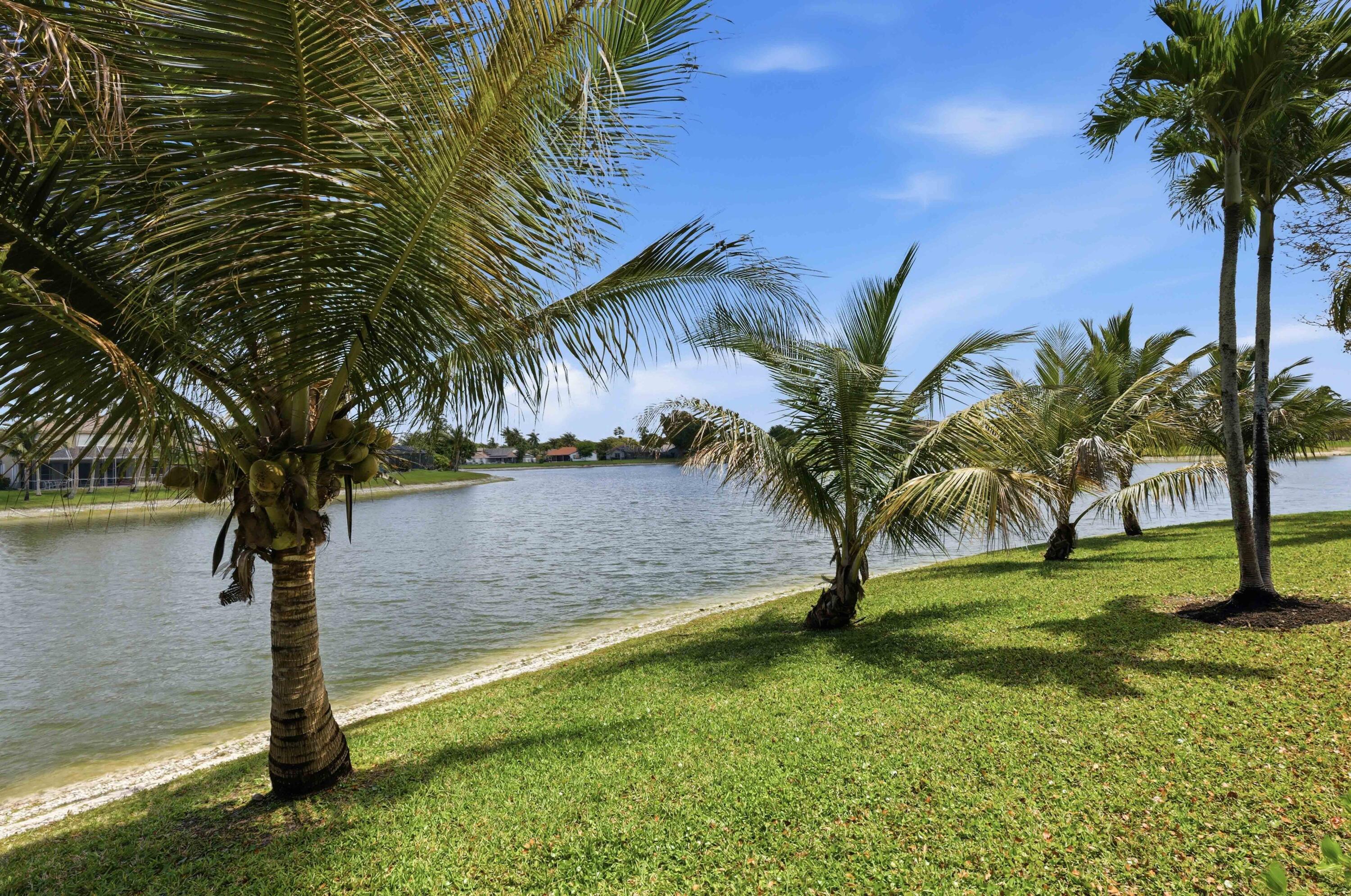22257 Vista Lago Drive Boca Raton, FL 33428 - Photo 58 of 82 Plenty of Coconut Trees