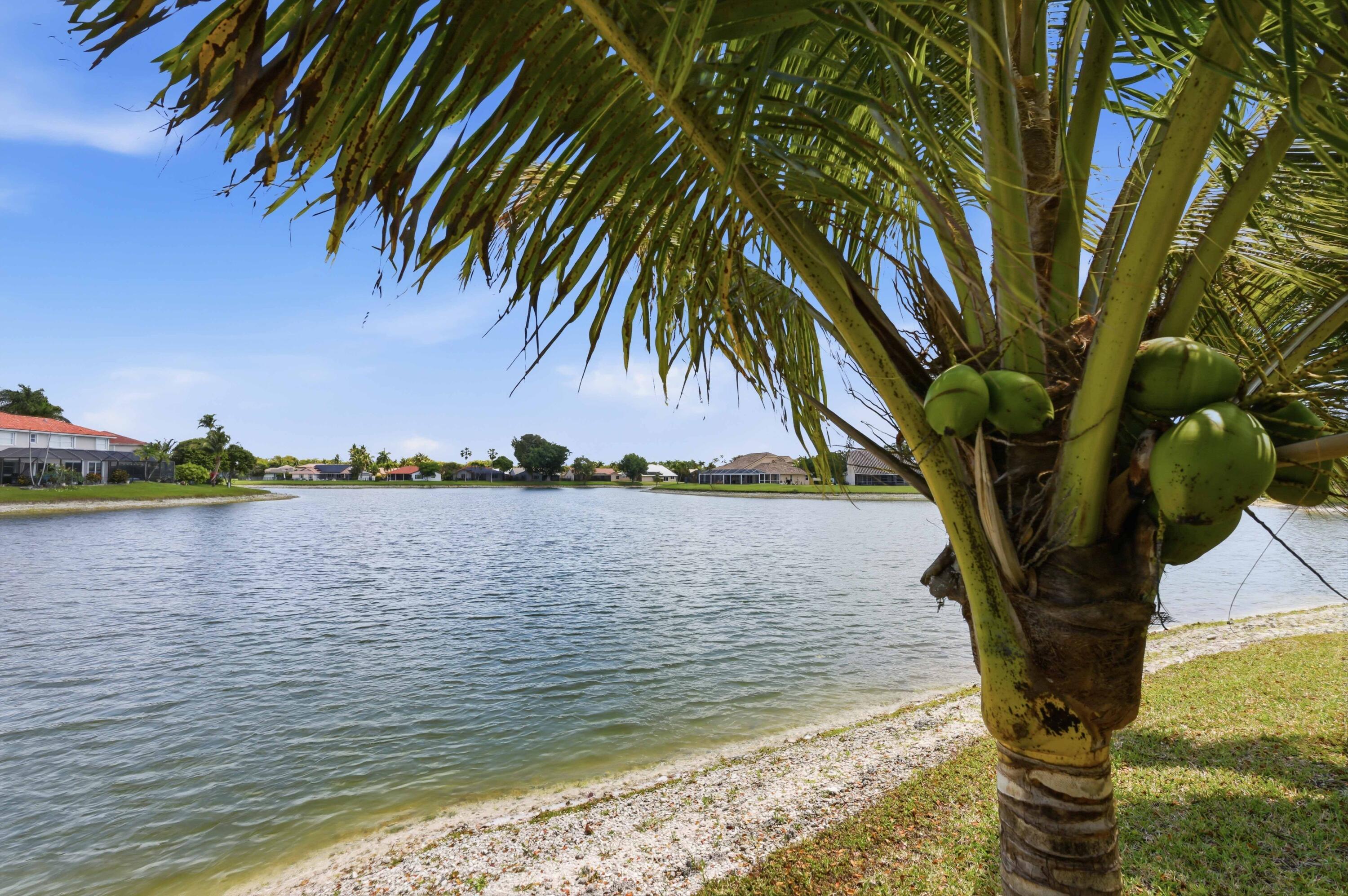 22257 Vista Lago Drive Boca Raton, FL 33428 - Photo 59 of 82 Delicious Coconut