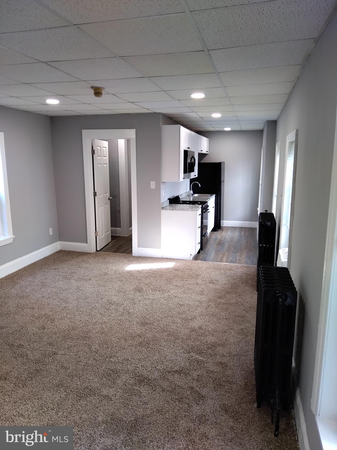 4329 Main Street, Unit 1 Philadelphia, PA 19127 - Photo 3 of 6