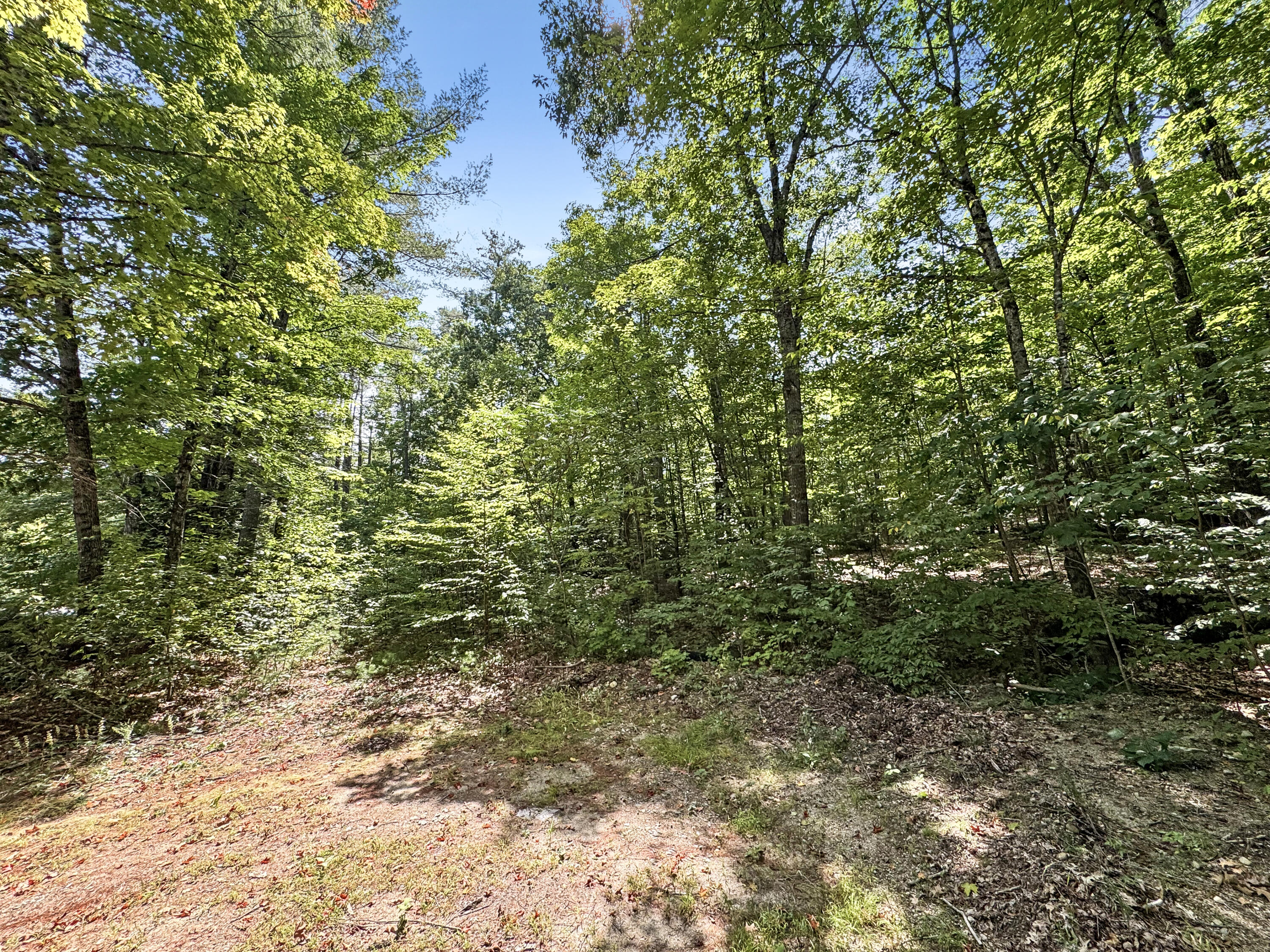 896 Greenwoods Road Sumner, ME 04292 - Photo 6 of 11 IMG_0228
