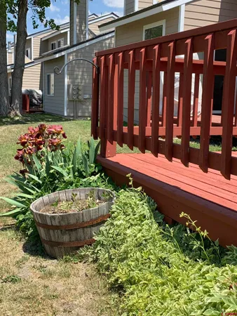 a view of a backyard with potted plants