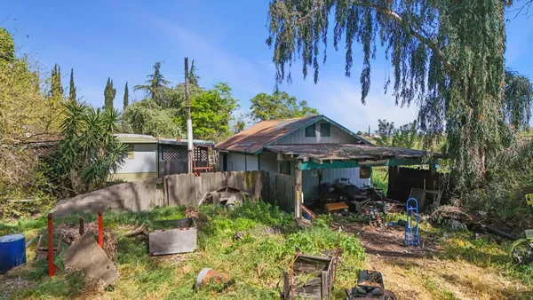 a view of a tree in a yard with a fountain