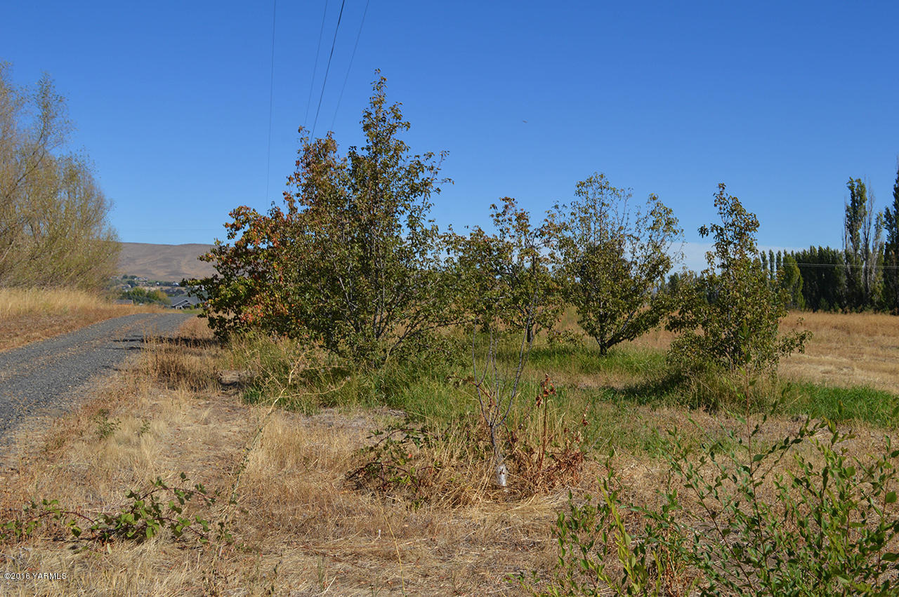 14650 Fisk Road Yakima, WA 98908 - Photo 23 of 38 West Edge of Property