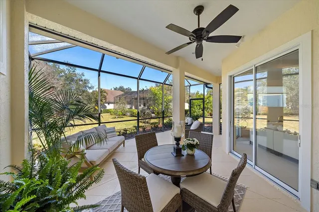 a room with furniture and a potted plant
