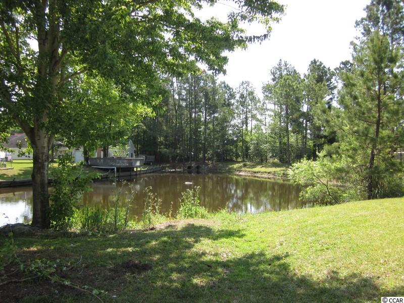 308 Rice Mill Drive Myrtle Beach, SC 29588 - Photo 20 of 25 Gallery Image 20