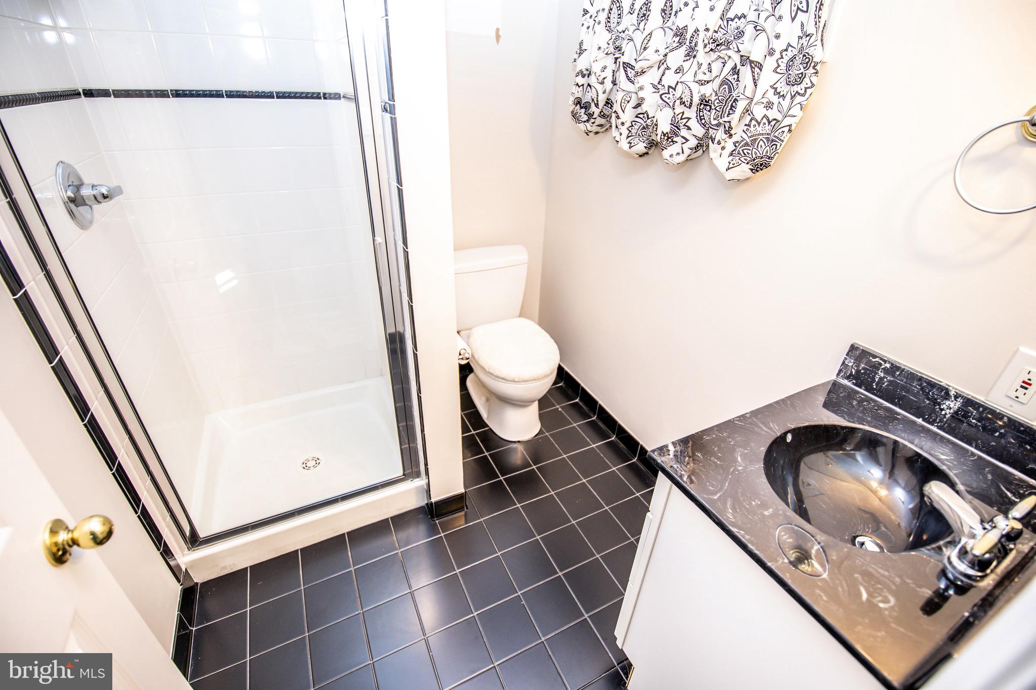 9607 Dilston Road Silver Spring, MD 20903 - Photo 30 of 39 Lower Level, Bathroom 2