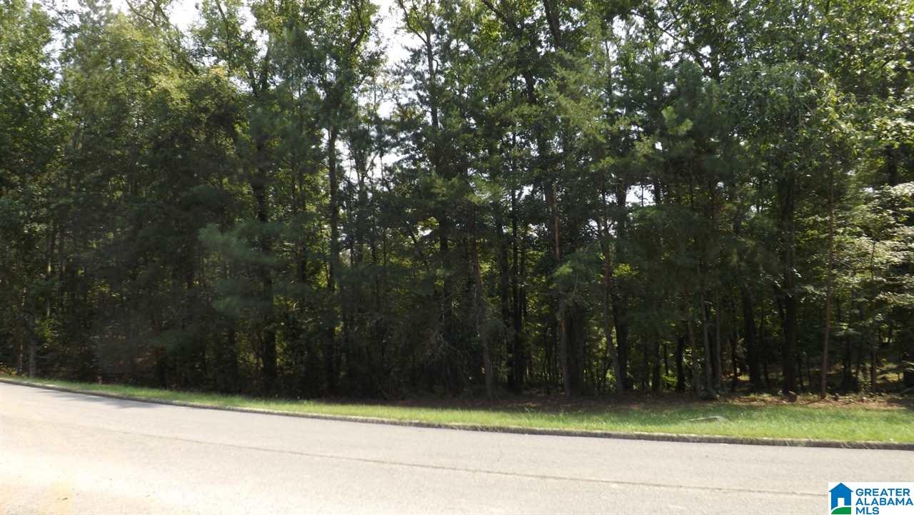 0 Quail Ridge Road, Unit 1 Oneonta, AL 35121 - Photo 12 of 18