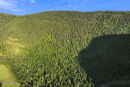 4345 Wilcox Road Northport, WA 99157 - Photo 18 of 39 18