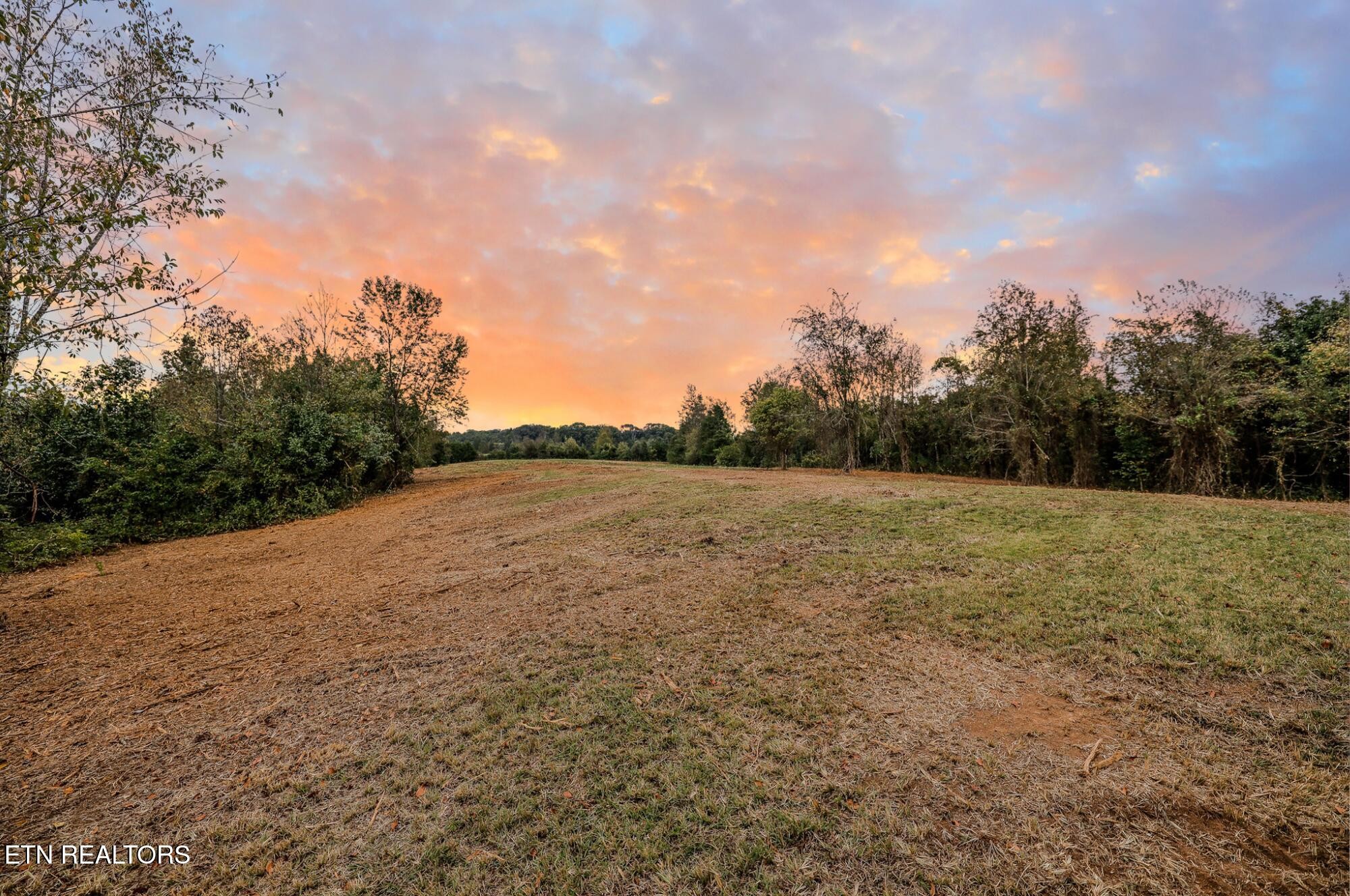 4732 Salem Road Greenback, TN 37742 - Photo 9 of 20 Gallery Image 9