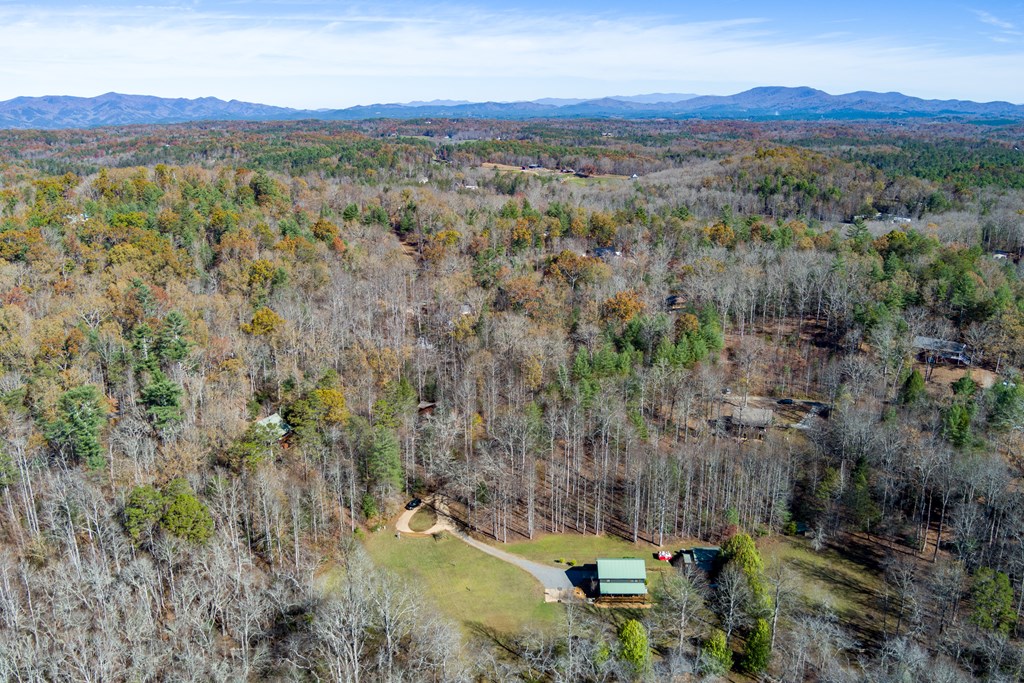 0 Pine Grove Blue Ridge, GA 30513 - Photo 8 of 23 Gallery Image 8