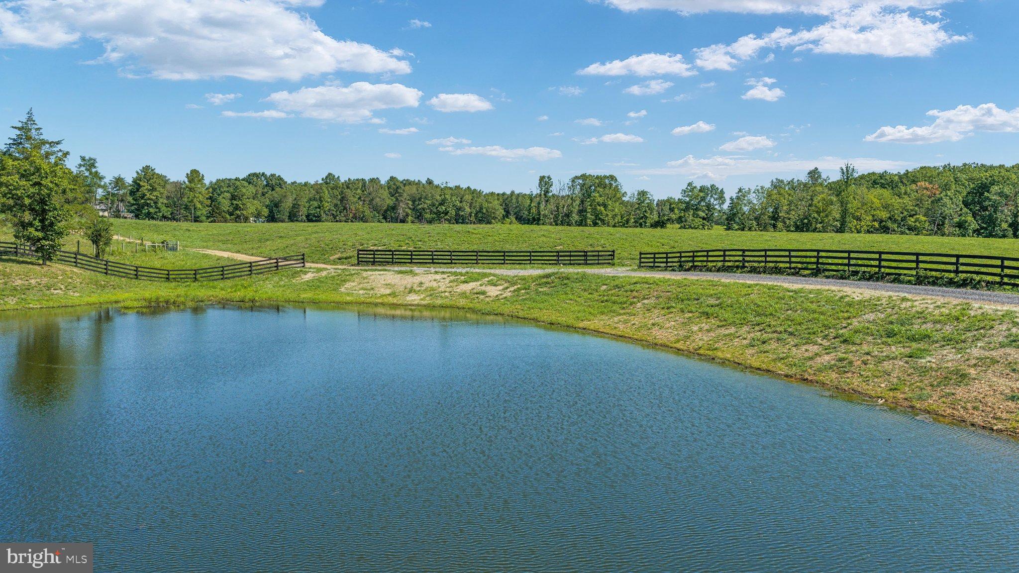 359 Ridgeway Road Front Royal, VA 22630 - Photo 132 of 136 DJI_20260804104828_0250_D_ 359 Ridgeway Rd - Absol