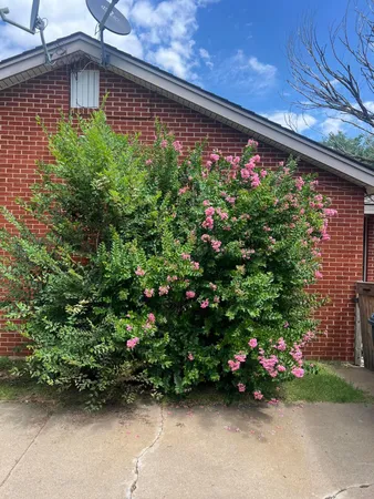 $2,000 | 1215 South Milam Street, Amarillo, TX 79102