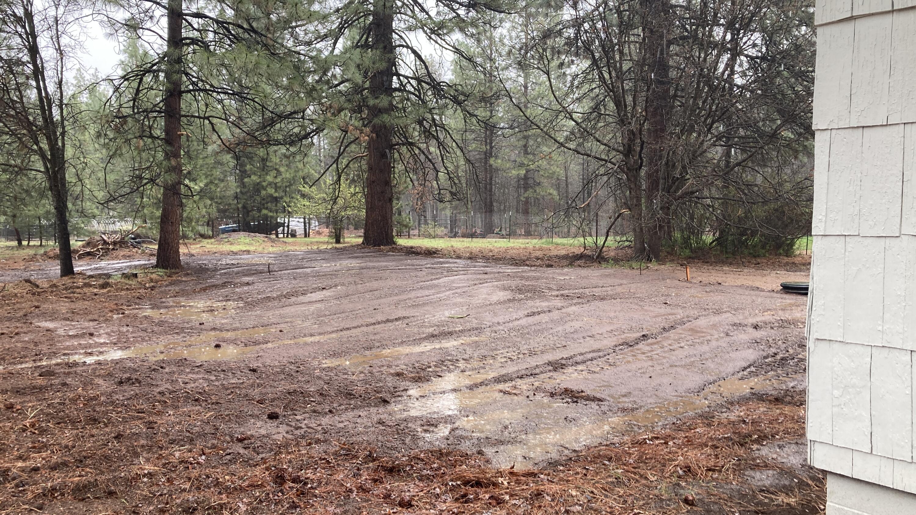 41008 Old School Road Fall River Mills, CA 96028 - Photo 51 of 53 a view of a yard with a tree