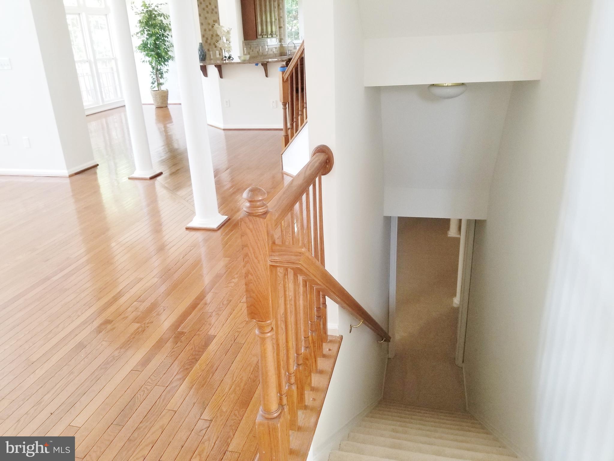 1818 Weybridge Road Frederick, MD 21702 - Photo 15 of 47 Open Basement entrance with door at bottom