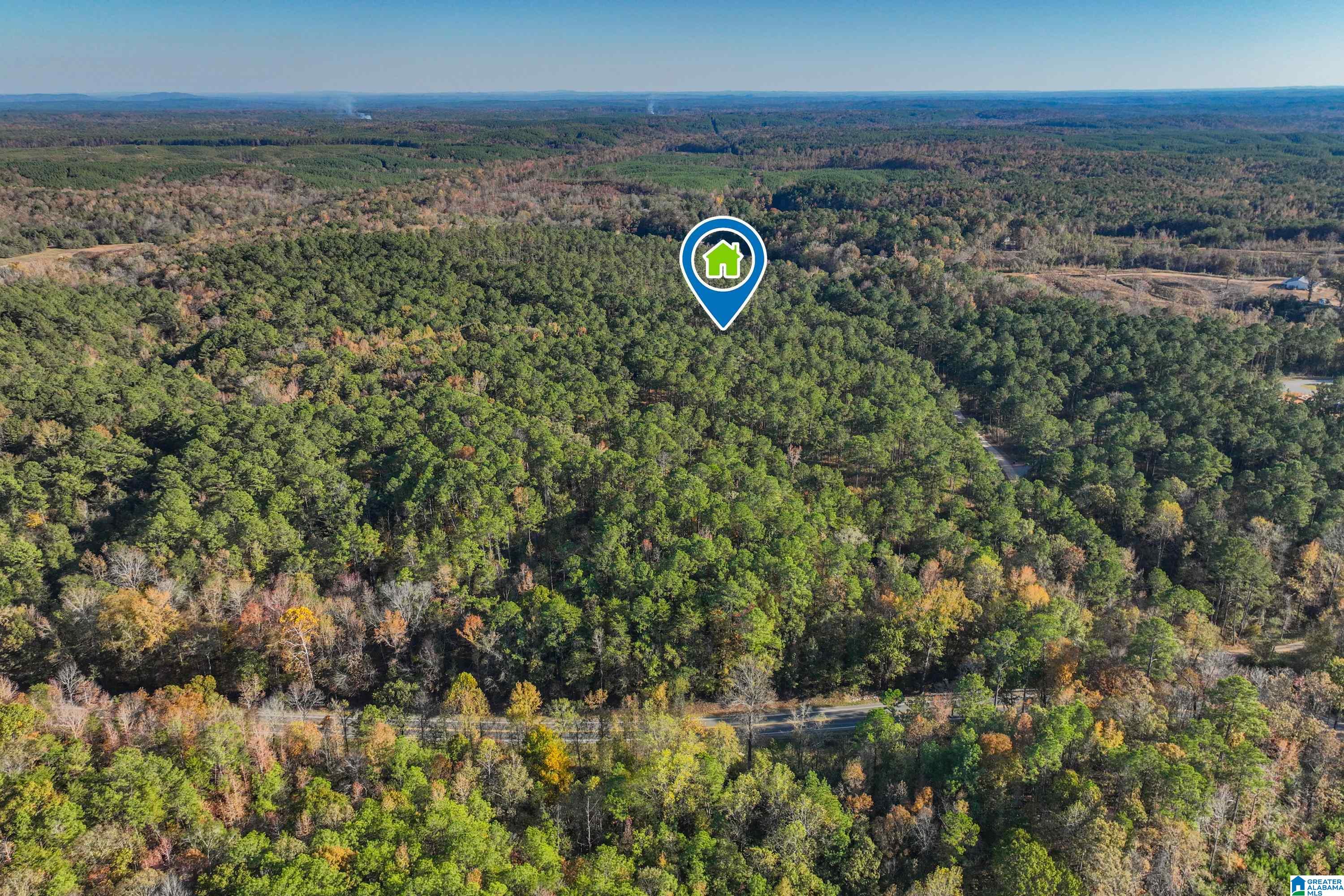 203 Gould Road Columbiana, AL 35051 - Photo 56 of 56