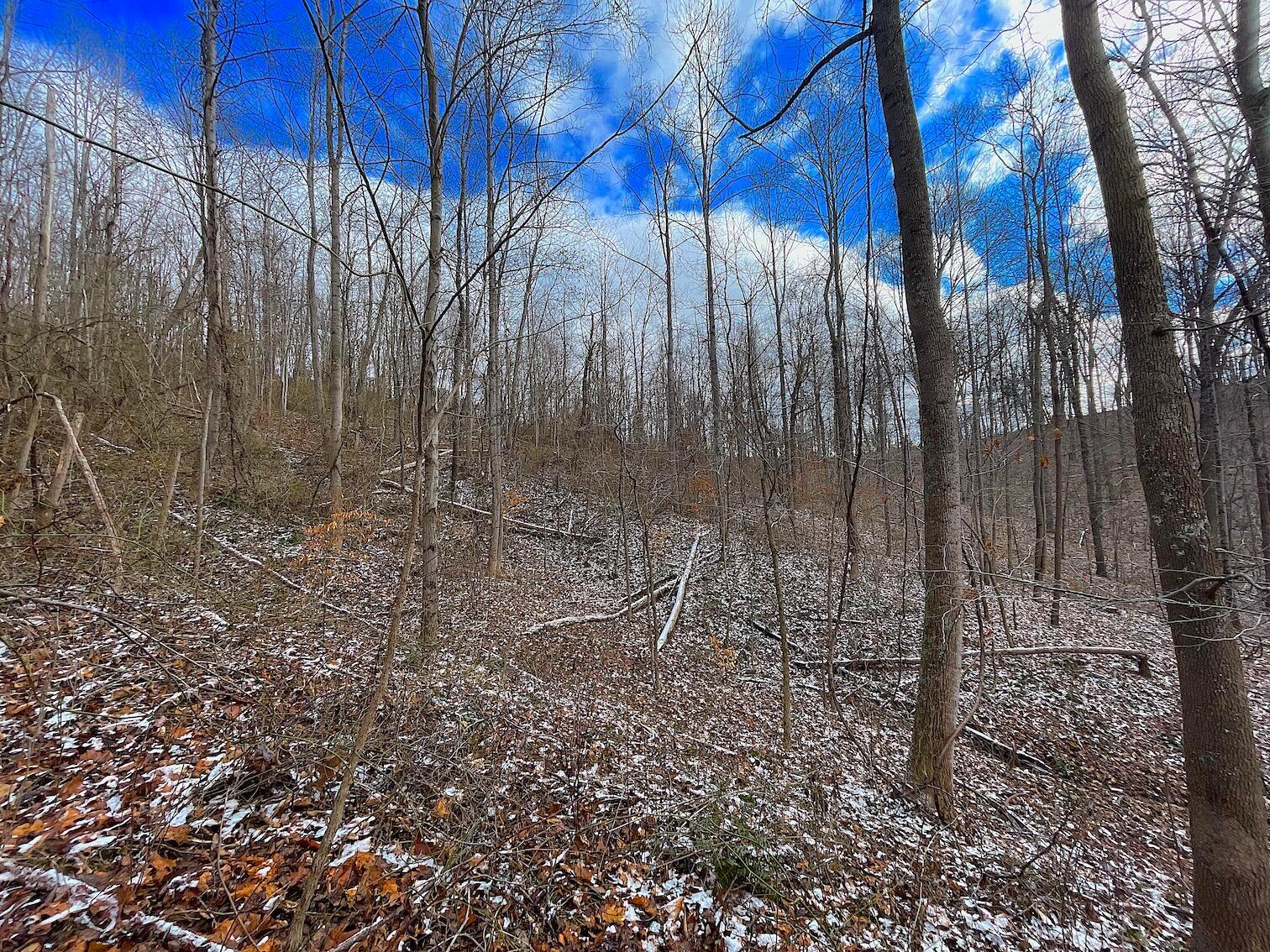 0 Hunting Run Road Lucasville, OH 45648 - Photo 13 of 39 IMG_0544