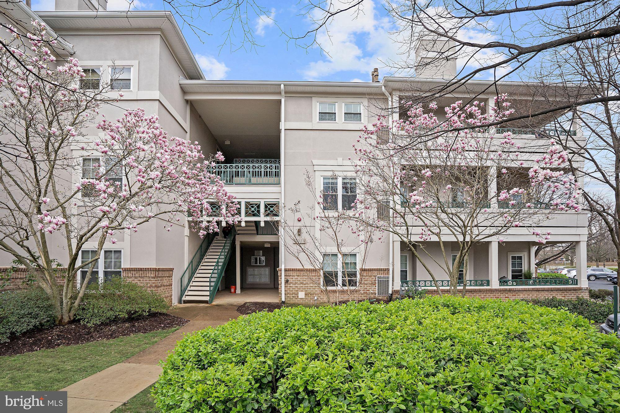 12016 Taliesin Place, Unit 26 Reston, VA 20190 - Photo 24 of 29 Trees are blooming!