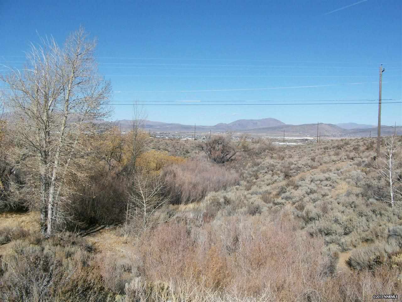 8215 Chippewa Avenue Reno, NV 89506 - Photo 1 of 1 Photo 1