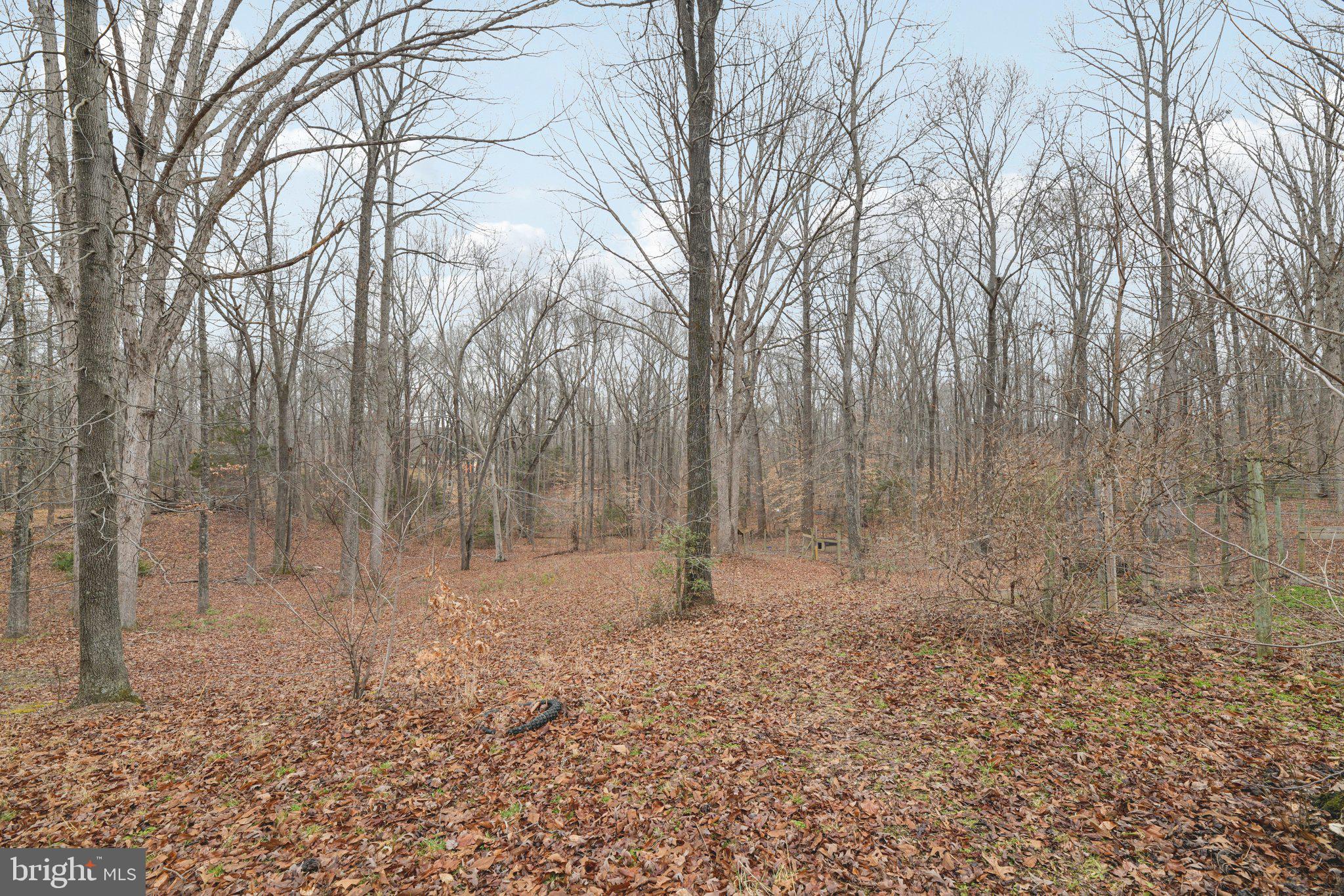 6615 Stanley Road King George, VA 22485 - Photo 50 of 61