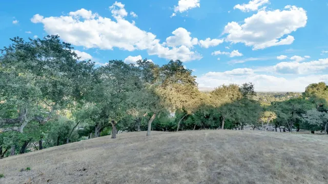 a view of a big yard with lots of green space