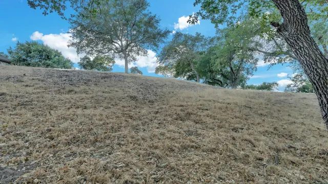 a view of dirt yard with a large tree