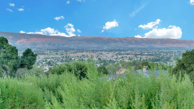 a view of a yard with a mountain