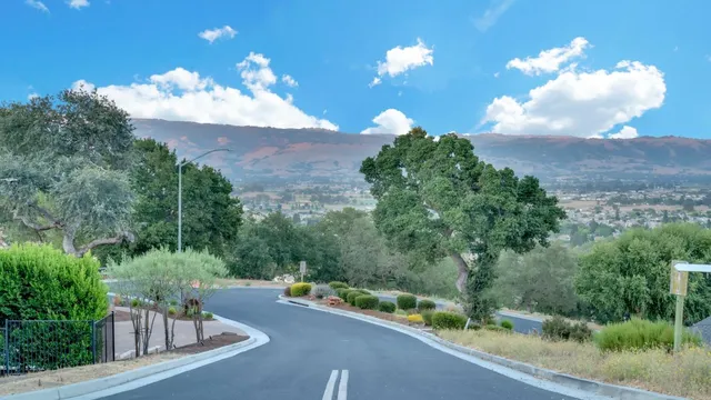 a view of a terrace with a garden and plants