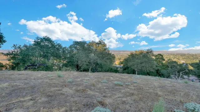 a view of a big yard with large trees