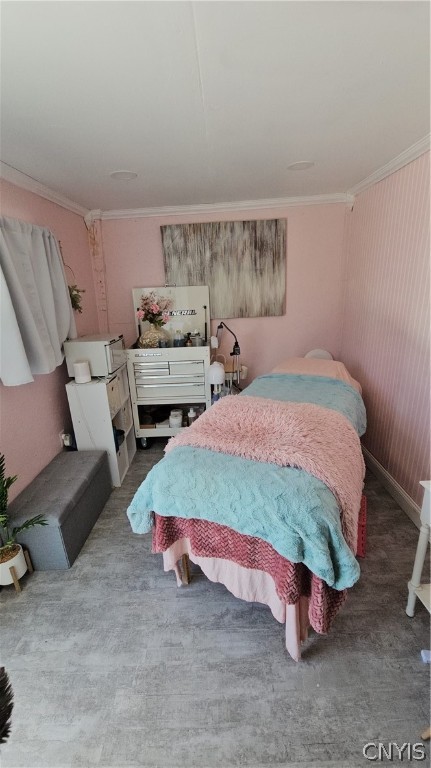 5294 Bluefield Road Fleming, NY 13021 - Photo 12 of 50 Salon off the garage with half bath ready for wate